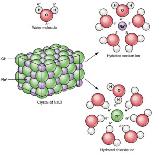 Ionization or dissociation of a salt When a salt dissolves in water, the salt crystal (which is made up of a specified ratio of positive cations and negative anions) breaks apart into individual cations and anions, each of which are surrounded by several water molecules. This process is called dissociation or ionization.