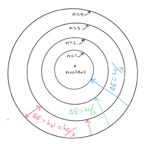 The Bohr model of the atom is shown. Electrons can orbit in defined elliptical orbits around the nucleus in this mod=del. The elliptical orbits (numbered 1-4 as they get larger) are drawn around the nucleus at the center