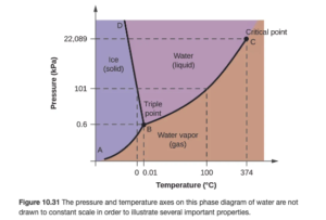 A graph is shown where the x-axis is labeled “Temperature in degrees Celsius” and the y-axis is labeled “Pressure ( k P a ).” A line extends from the origin of the graph which is labeled “A” sharply upward to a point in the bottom third of the diagram labeled “B” where it branches into a line that slants slightly backward until it hits the highest point on the y-axis labeled “D” and a second line that extends to the upper right corner of the graph labeled “C”. C is labeled “Critical point, with a dotted line extending downward to the x-axis labeled 374 degrees Celsius, and another dotted line extending to the y-axis labeled 22,089 k P a. The two lines bisect the graph area to create three sections, labeled “Ice (solid)” near the middle left, “Water (liquid)” in the top middle and “Water vapor (gas)” near the bottom middle. Point B is labeled “Triple point” and has a dotted line extending downward to the x-axis labeled 0.01, and another dotted line extending to the y-axis labeled 0.6. Halfway between points B and C a dotted line extends from the originally discussed line downward to the point 100 degrees Celsius on the x-axis, and another dotted line extends to the y-axis at 101 k P a. Another dotted line extends from this dotted line downward at 0 degrees Celsius.