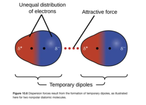 Two pairs of molecules are shown where each molecule has one larger blue side labeled “delta sign, negative sign” and a smaller red side labeled “delta sign, positive sign.” Toward the middle of the both molecules, but still on each distinct side, is a black dot. Between the two images is a dotted line labeled, “Attractive force.” In the first image, the red and blue sides are labeled, “Unequal distribution of electrons.” Below both images are brackets. The brackets are labeled, “Temporary dipoles.”