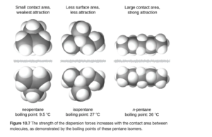 Three images of molecules are shown. The first shows a cluster of large, gray spheres each bonded together and to several smaller, white spheres. There is a gray, jagged line and then the mirror image of the first cluster of spheres is shown. Above these two clusters is the label, “Small contact area, weakest attraction,” and below is the label, “neopentane boiling point: 9.5 degrees C.” The second shows a chain of three gray spheres bonded by the middle sphere to a fourth gray sphere. Each gray sphere is bonded to several smaller, white spheres. There is a jagged, gray line and then the mirror image of the first chain appears. Above these two chains is the label, “Less surface area, less attraction,” and below is the label, “isopentane boiling point: 27 degrees C.” The third image shows a chain of five gray spheres bonded together and to several smaller, white spheres. There is a jagged gray line and then the mirror image of the first chain appears. Above these chains is the label, “Large contact area, strong attraction,” and below is the label, “n-pentane boiling point 36 degrees C.