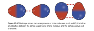 Two pairs of molecules are shown where each molecule has one larger blue side labeled “delta sign, negative sign” and a smaller red side labeled “delta sign, positive sign. In the first pair, the red sides of the two molecules both face to the left and the blue side to the right. A horizontal dotted line lies in between the two. In the second pair, the molecules face up and down, with the red and blue ends aligning. A horizontal dotted line lies between the red and blue ends facing upward and another lies between the red and blue ends facing downward