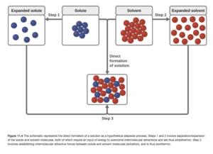 The top, central region of the figure shows solute particles as seven blue spheres and solvent particles as 16 red spheres in separate, labeled boxes. The particles in these boxes are touching. An arrow labeled “Step 1” points left of the solute box, and shows the blue spheres no longer touching in another box labeled “expanded solute.” An arrow labeled “Step 2” points right from the solvent box and shows the red spheres no longer touching in another box labeled “expanded solvent.” Arrows proceed from the bottom of the expanded solute and expanded solvent boxes and join at the bottom of the figure where a step 3 label is shown. The joined arrows point to a box just above in which the red and blue spheres are mixed together and touching. The solute and solvent boxes are joined by another arrow labeled “direct formation of solution” which points downward at the center of the figure. This arrow also points to the box containing mixed red and blue spheres near the bottom of the figure.