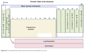 This diagram combines the groups and periods of the periodic table based on their similar properties. Group 1 contains the alkali metals, group 2 contains the earth alkaline metals, group 15 contains the pnictogens, group 16 contains the chalcogens, group 17 contains the halogens and group 18 contains the noble gases. The main group elements consist of groups 1, 2, and 12 through 18. Therefore, most of the transition metals, which are contained in groups 3 through 11, are not main group elements. The lanthanides and actinides are called out at the bottom of the periodic table.