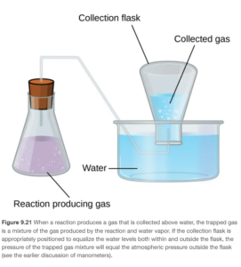 This figure shows a diagram of equipment used for collecting a gas over water. To the left is an Erlenmeyer flask. It is approximately two thirds full of a lavender colored liquid. Bubbles are evident in the liquid. The label “Reaction Producing Gas” appears below the flask. A line segment connects this label to the liquid in the flask. The flask has a stopper in it through which a single glass tube extends from the open region above the liquid in the flask up, through the stopper, to the right, then angles down into a pan that is nearly full of light blue water. This tube again extends right once it is well beneath the water’s surface. It then bends up into an inverted flask which is labeled “Collection Flask.” This collection flask is positioned with its mouth beneath the surface of the light blue water and appears approximately half full. Bubbles are evident in the water in the inverted flask. The open space above the water in the inverted flask is labeled “collected gas.”