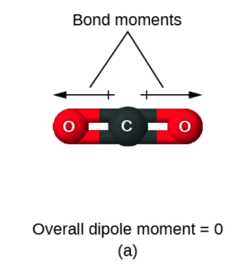 The image a shows a carbon atom bonded to two oxygen atoms in a ball-and-stick representation. Two arrows face away from the center of the molecule in opposite directions and are drawn horizontally like the molecule. These arrows are labeled, “Bond moments,” and the image is labeled, “Overall dipole moment equals 0.” 