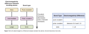 "Two flow charts and table are shown. The first flow chart is labeled, “Electronegativity difference between bonding atoms.” Below this label are three rounded text bubbles, connected by a downward-facing arrow, labeled, “Zero,” “Intermediate,” and “Large,” respectively. The second flow chart is labeled, “Bond type.” Below this label are three rounded text bubbles, connected by a downward-facing arrow, labeled, “Pure covalent,” “Polar covalent,” and “Ionic,” respectively. A double ended arrow is written vertically to the right of the flow charts and labeled, “Covalent character decreases; ionic character increases.” The table is made up of two columns and four rows. The header line is labeled “Bond type” and “Electronegativity difference.” The left column contains the phrases “Pure covalent,” “Polar covalent,” and “Ionic,” while the right column contains the values “less than 0.4,” “between 0.4 and 1.8,” and “greater than 1.8.”"