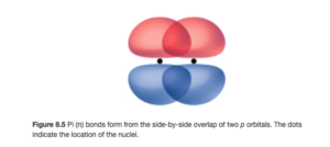 Two peanut-shaped orbitals are shown, lying vertically and parallel with one another. They overlap one another along the top and bottom of the orbital.