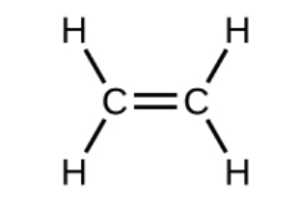 A Lewis structure is shown in which two carbon atoms are bonded together by a double bond. Each carbon atom is bonded to two hydrogen atoms by a single bond.