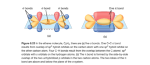 Two diagrams are shown labeled, “a” and “b.” Diagram a shows two carbon atoms with three purple balloon-like orbitals arranged in a plane around them and two red balloon-like orbitals arranged vertically and perpendicularly to the plane. There is an overlap of two of the purple orbitals in between the two carbon atoms, and the other four purple orbitals that face the outside of the molecule are shown interacting with spherical blue orbitals from four hydrogen atoms. Diagram b depicts a similar image to diagram a, but the red, vertical orbitals are interacting above and below the plane of the molecule to form two areas labeled, “One pi bond."