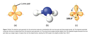 Three images are shown and labeled, “a,” “b,” and “c.” Image a shows a nitrogen atom single bonded to three hydrogen atoms. There are four oval-shaped orbs that surround each hydrogen and one facing away from the rest of the molecule. These orbs are located in a tetrahedral arrangement. Image b shows a ball-and-stick model of the nitrogen single bonded to the three hydrogen atoms. Image c is the same as image a, but there are four curved, double headed arrows that circle the molecule and are labeled, “106.8 degrees.”