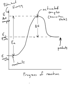 This is a reaction profile diagram. It is a graph of energy on the vertical axis and reaction progress on the horizontal axis. On the left of the graph, the energy indicated is the energy of the reactants. The energy increases (shown by an upwardly curving line until the activated complex (the state between the products and reactants) is reached. The line then curves sharply downward before flattening out again at the products. The activated complex can be thought of as the "top of the hill" in the graph. The product energy (on the right) is higher than the reactant energy (on the left) indicating an endothermic reaction.ph.