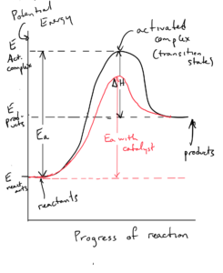 Reaction profile diagram of catalyzed and uncatalyzed reaction This is a graph of energy on the vertical axis and reaction progress on the horizontal axis. On the left of the graph, the energy indicated is the energy of the reactants. The energy increases (shown by an upwardly curving line until the activated complex (the state between the products and reactants) is reached. The line then curves sharply downward before flattening out again at the products. The activated complex can be thought of as the "top of the hill" in the graph. The activation energy is the energy difference between the activated complex (top of the hill) and the reactants (starting energy). The activation energy can be thought of as the "height of the hill" The catalyzed reaction has the same reactant and product energies as the uncatalyzed reaction but a lower activation energy (smaller hill)