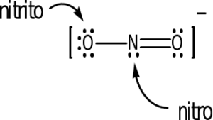 A Lewis dot structure of the nitrite ion is shown. It shows an oxygen atom with three lone pairs of electrons single bonded to a nitrogen atom with one lone pair of electrons that is double bonded to an oxygen with two lone pairs of electrons. Brackets surround this structure, and there is a superscripted negative sign. If the oxygen serves as the donor atom, it is referred to as nitrite. If nitrogen serves as the donor atom, it is referred to as nitro.