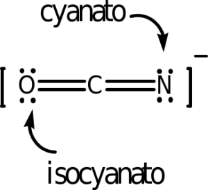 A Lewis dot structure of the cyanate ion is shown. It shows an oxygen atom with two lone pairs of electrons double bonded to a carbon atom that is double bonded to a nitrogen with two lone pairs of electrons. Brackets surround this structure, and there is a superscripted negative sign. If the oxygen serves as the donor atom, it is referred to as isocyanato. If nitrogen serves as the donor atom, it is referred to as cyanato.