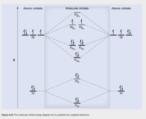 A diagram is shown that has an upward-facing vertical arrow running along the left side labeled, “E.” At the bottom center of the diagram is a horizontal line labeled, “sigma subscript 2 s,” that has two vertical half arrows drawn on it, one facing up and one facing down. This line is connected to the right and left by upward-facing, dotted lines to two more horizontal lines, each labeled, “2 s,” and with two vertical half arrows drawn on them, one facing up and one facing down. These two lines are connected by upward-facing dotted lines to another line in the center of the diagram, but farther up from the first and labeled, “sigma subscript 2 s superscript asterisk.” This horizontal line has two vertical half-arrow drawn on it, one facing up and one facing down. Moving further up the center of the diagram is a horizontal line labeled, “sigma subscript 2 p subscript x,” which lies below two horizontal lines, lying side-by-side, and labeled “pi subscript 2 p subscript y,” and “pi subscript 2 p subscript z.” Both the bottom and top lines are connected to the right and left by upward-facing, dotted lines to three more horizontal lines, each labeled, “2 p,” on either side. These sets of lines each hold three upward-facing and one downward-facing half-arrow. They are connected by upward-facing dotted lines to another single line and then pair of double lines in the center of the diagram, but farther up from the lower lines. They are labeled, “sigma subscript 2 p subscript x superscript asterisk,” “pi subscript 2 p subscript y superscript asterisk,” and “pi subscript 2 p subscript z superscript asterisk,” respectively. The lower of these two central, horizontal lines each contain one upward-facing half-arrow. The left and right sides of the diagram have headers that read, ”Atomic orbitals,” while the center header reads, “Molecular orbitals.”