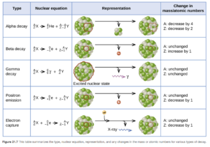 alt="This table has four columns and six rows. The first row is a header row and it labels each column: “Type,” “Nuclear equation,” “Representation,” and “Change in mass / atomic numbers.” Under the “Type” column are the following: “Alpha decay,” “Beta decay,” “Gamma decay,” “Positron emission,” and “Electron capture.” Under the “Nuclear equation” column are several equations. Each begins with superscript A stacked over subscript Z X. There is a large gap of space and then the following equations: “superscript 4 stacked over subscript 2 He plus superscript A minus 4 stacked over subscript Z minus 2 Y,” “superscript 0 stacked over subscript negative 1 e plus superscript A stacked over subscript Z plus 1 Y,” “superscript 0 stacked over subscript 0 lowercase gamma plus superscript A stacked over subscript Z Y,” “superscript 0 stacked over subscript positive 1 e plus superscript A stacked over subscript Y minus 1 Y,” and “superscript 0 stacked over subscript negative 1 e plus superscript A stacked over subscript Y minus 1 Y.” Under the “Representation” column are the five diagrams. The first shows a cluster of green and white spheres. A section of the cluster containing two white and two green spheres is outlined. There is a right-facing arrow pointing to a similar cluster as previously described, but the outlined section is missing. From the arrow another arrow branches off and points downward. The small cluster to two white spheres and two green spheres appear at the end of the arrow. The next diagram shows the same cluster of white and green spheres. One white sphere is outlined. There is a right-facing arrow to a similar cluster, but the white sphere is missing. Another arrow branches off the main arrow and a red sphere with a negative sign appears at the end. The next diagram shows the same cluster of white and green spheres. The whole sphere is outlined and labeled, “excited nuclear state.” There is a right-facing arrow that points to the same cluster. No spheres are missing. Off the main arrow is another arrow which points to a purple squiggle arrow which in turn points to a lowercase gamma. The next diagram shows the same cluster of white and green spheres. One green sphere is outlined. There is a right-facing arrow to a similar cluster, but the green sphere is missing. Another arrow branches off the main arrow and a red sphere with a positive sign appears at the end. The next diagram shows the same cluster of white and green spheres. One green sphere is outlined. There is a right-facing arrow to a similar cluster, but the green sphere is missing. Two other arrows branch off the main arrow. The first shows a gold sphere with a negative sign joining with the right-facing arrow. The secon points to a blue squiggle arrow labeled, “X-ray.” Under the “Change in mass / atomic numbers” column are the following: “A: decrease by 4, Z: decrease by 2,” “A: unchanged, Z: increased by 1,” “A: unchanged, Z: unchanged,” “A: unchanged, Z: unchanged,” “A: unchanged, Z: decrease by 1,” and “A: unchanged, Z: decrease by 1.”"