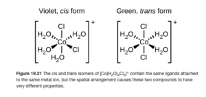 Two structures are shown. The first is labeled, “Violet, cis form.” Below this label inside brackets is a central C o atom. From the C o atom, line segments indicate bonds to a C l atom above and the O atom of an H subscript 2 O group below the structure. Above and to both the right and left, dashed wedges with their vertex at the C o atom widening as they move out from the atom indicate bonds with O atoms of H subscript 2 O groups. Similarly, solid wedges below to both the right and left indicate bonds to a C l atom on the right and the O atom of an H subscript 2 O group on the left. This structure is enclosed in brackets. Outside the brackets to the right is the superscript plus sign. The second is labeled, “Green, trans form.” Below this label inside brackets is a central C o atom. From the C o atom, line segments indicate bonds to C l atoms above and below the structure. Above and to both the right and left, dashed wedges indicate bonds with O atoms of H subscript 2 O groups. Similarly, solid wedges below to both the right and left indicate bonds to the O atoms of H subscript 2 O groups. This structure is also enclosed in brackets with a superscript plus sign outside the brackets to the right.