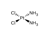 At the center of the structure is a P t atom. From this atom, a single bond represented by a dashed wedge extends from a vertex at the P t atom up and to the right to the N atom of an N H subscript 3 group. Similarly, a single bond represented by a solid wedge extends from a vertex at the P t atom down and to the right to the N atom of an N H subscript 3 group. Another single bond represented by a dashed wedge extends from a vertex at the P t atom up and to the left to a C l atom. Similarly, a single bond represented by a solid wedge extends from a vertex at the P t atom down and to the left to a C l atom.