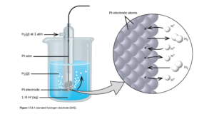 The figure shows a beaker just over half full of a blue liquid. A glass tube is partially submerged in the liquid. Bubbles, which are labeled “H subscript 2 ( g )” are rising from the dark grayquare, labeled “P t electrode” at the bottom of the tube. Below the bottom of the tube pointing to the solution in the beaker is the label “ 1 M H superscript plus ( a q).” A curved arrow points up to the right, indicating the direction of the bubbles. A black wire which is labeled “P t wire” extends from the dark grgrayare up the interior of the tube through a small port at the top. A second small port extends out the top of the tube to the left. An arrow points to the port opening from the left. The base of this arrow is labeled “H subscript 2 ( g ) at 1 a t m.” A light greygray points to a diagram in a circle at the right that illustrates the surface of the P t electrode in a magnified view. P t atoms are illustrated as a uniform cluster of grey sgray which are labeled “P t electrode atoms.” On the grey atograyace, the label “e superscript negative” is shown 4 times in a nearly even vertical distribution to show electrons on the P t surface. A curved arrow extends from a white sphere labeled “H superscript plus” at the right of the P t atoms to the uppermost electron shown. Just below, a straight arrow extends from the P t surface to the right to a pair of linked white spheres which are labeled “H subscript 2.” A curved arrow extends from a second white sphere labeled “H superscript plus” at the right of the P t atoms to the second electron shown. A curved arrow extends from the third electron on the P t surface to the right to a white sphere labeled “H superscript plus.” Just below, an arrow points left from a pair of linked white spheres which are labeled “H subscript 2” to the P t surface. A curved arrow extends from the fourth electron on the P t surface to the right to a white sphere labeled “H superscript plus.”